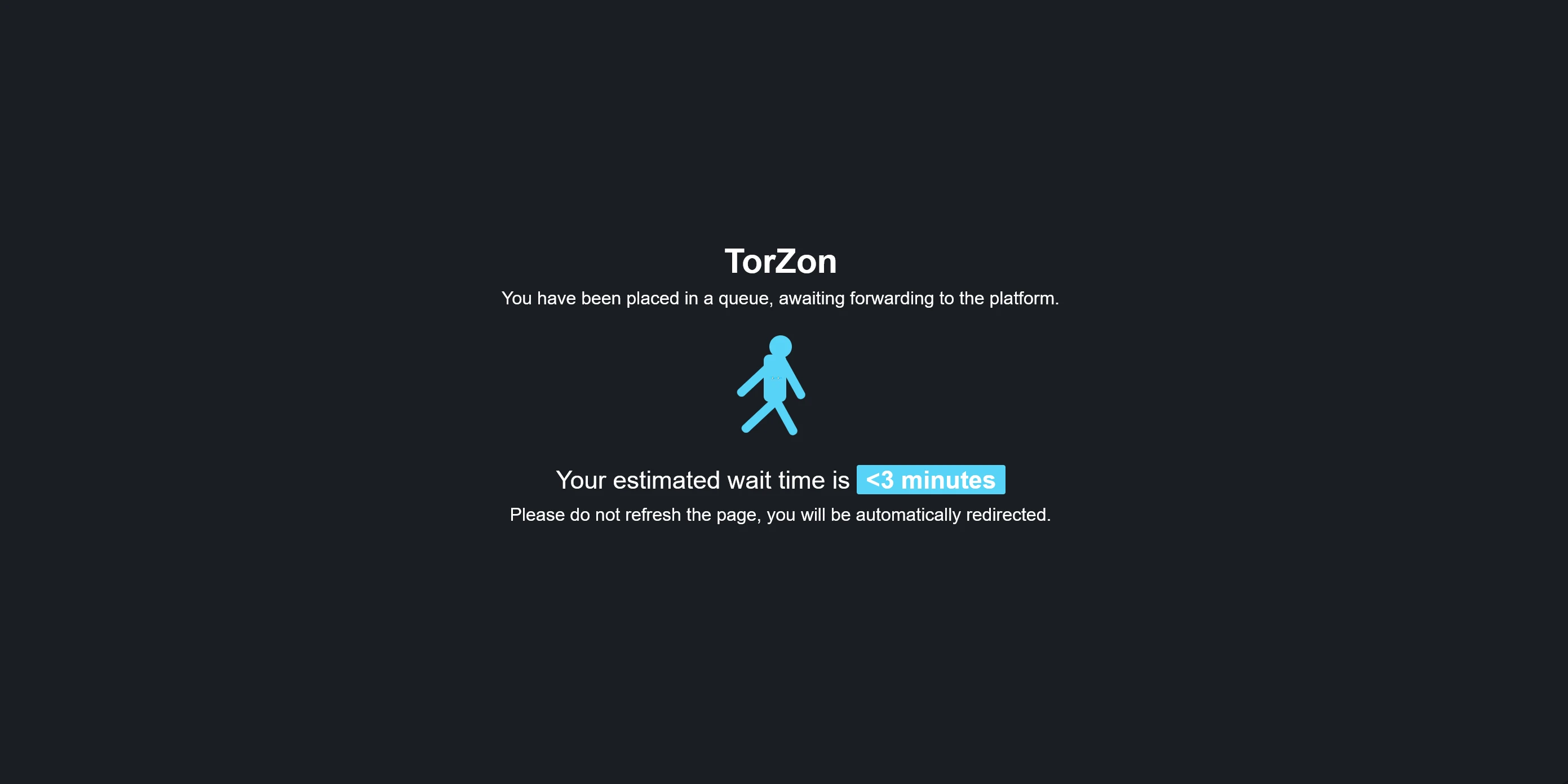 TorZon access troubleshooting - solving connection problems